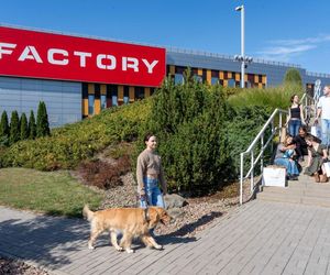 Nowe otwarcia i mocne outletowe debiuty