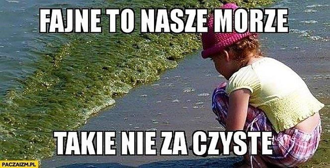 Najlepsze memy o wakacjach nad polskim morzem