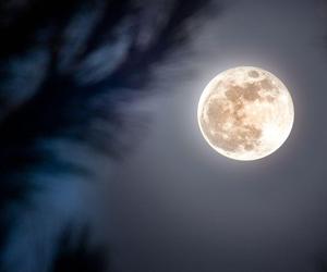 Pełnia Kwiatowego Księżyca już wkrótce! Kiedy się pojawi i co oznacza?