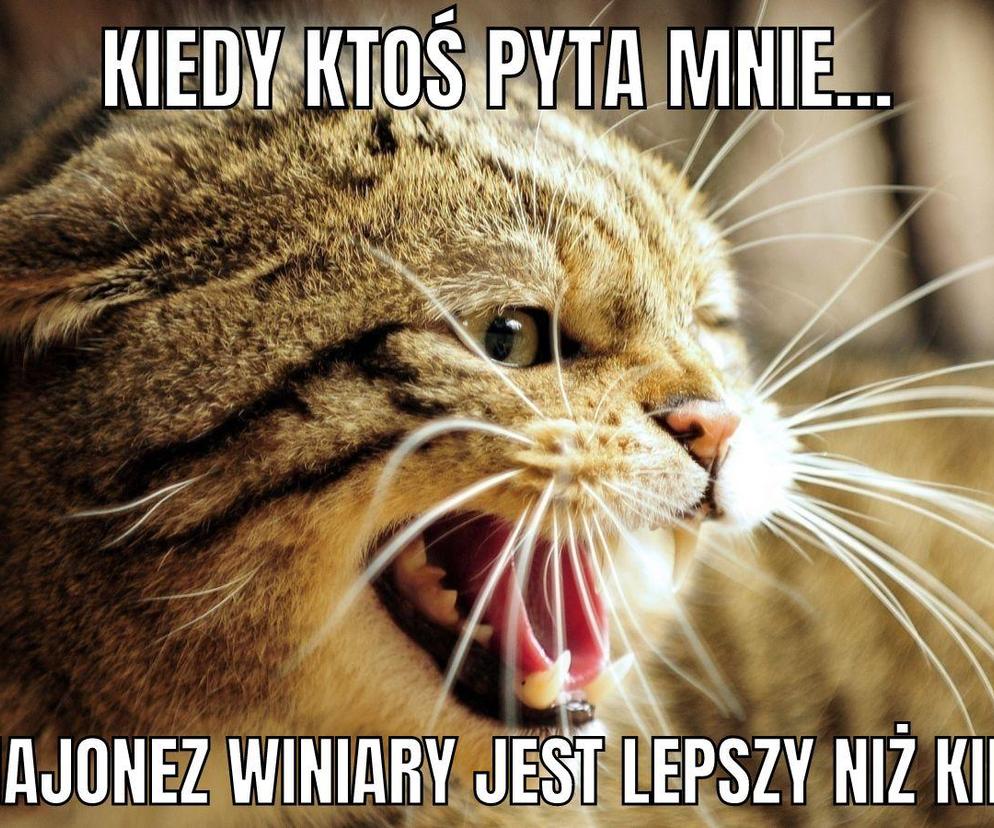 Najnowsze memy o Kielcach. Z czego żartują internauci? Sprawdźcie
