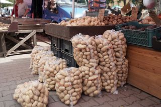 Euforia na straganie! Młode ziemniaczki z Polski robią furorę
