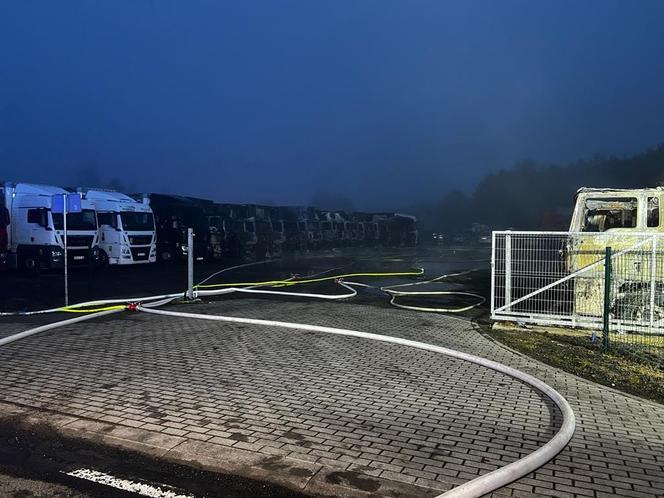 Wielki pożar w Osiecznicy na Dolnym Śląsku. Spłonęło 16 ciężarówek