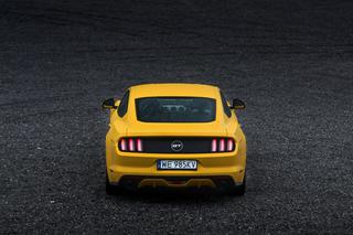 2015 Ford Mustang 5.0 V8