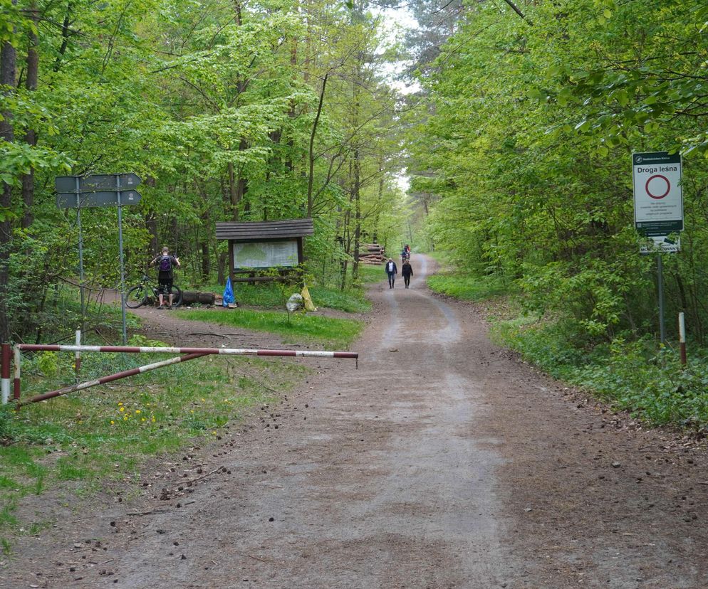 Lubisz turystykę slow? To miejsce w Kielcach na pewno polubisz