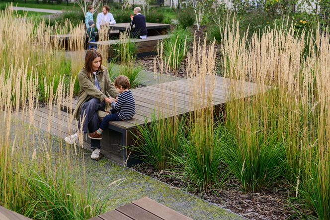 Dizajn na zawsze. Paweł Grobelny