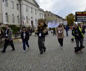 Wielki marsz adopciaków w Radomiu
