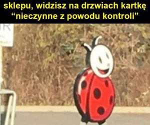 Zacięta walka Biedronki i Lidla trwa. Memy o dyskontach zalały internet. Pękniesz ze śmiechu!