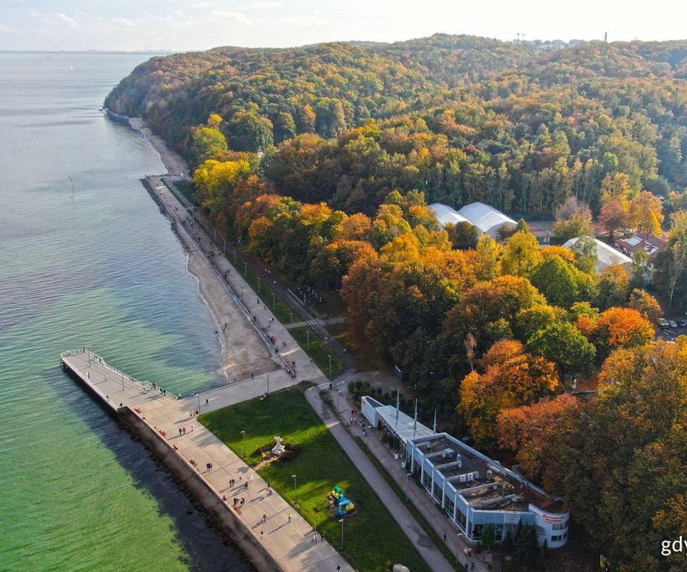 Czas na remont Bulwaru Nadmorskiego w Gdyni! Co się dokładnie zmieni? 