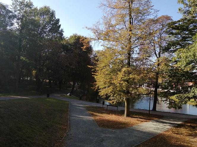 Jesienią warto odwiedzić siedlecki park Aleksandria