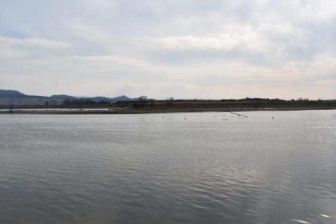 Jezioro Czorsztyńskie coraz bardziej wysycha