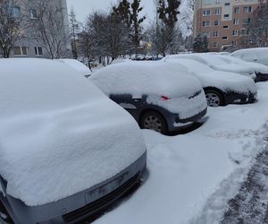 Śnieżna noc za nami. Czy zima zaskoczyła mieszkańców Poznania? 