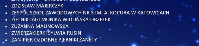 Jarmark na Nikiszu 2024: Oto wystawcy, których spotkamy w grudniu