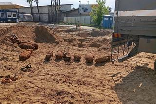 W Białej Podlaskiej znów znaleziono bomby lotnicze. Kilka z nich ma pół tony