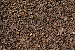 Jak odkazić glebę? [Porada eksperta]