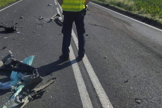 Tragiczny wypadek w Pląchotach! 49-latek zginął na miejscu [ZDJĘCIA]