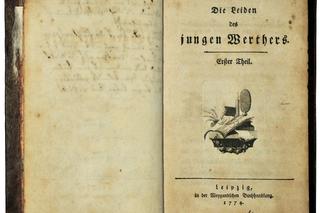 Cierpienia młodego Wertera Johanna Wolfganga von Goethego - streszczenie i problematyka lektury