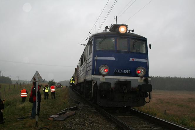 Świdwin. Byk wykoleił pociąg