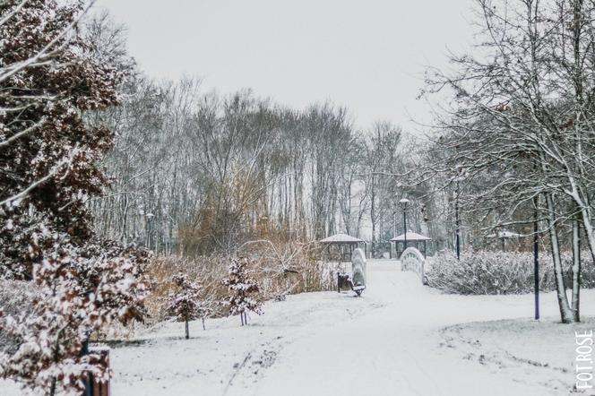 Śnieg na święta i zmiana planów na Wigilię! Bardzo dużo opadów