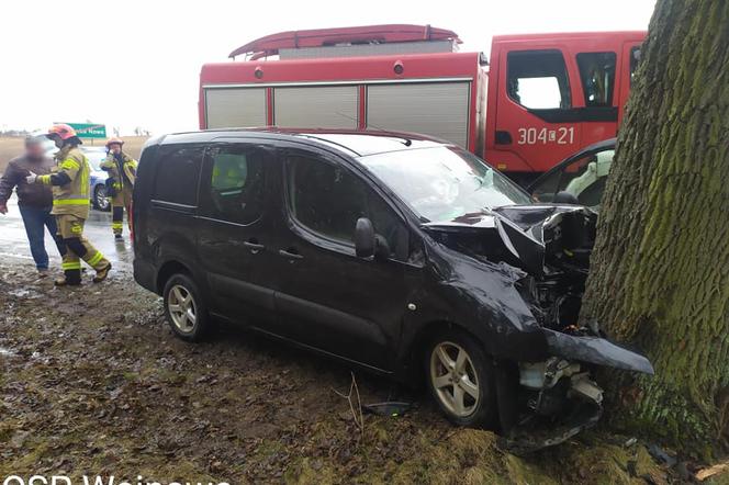 Dąbrówka Nowa. Samochód roztrzaskał się na drzewie! 2 osoby trafiły do szpitala