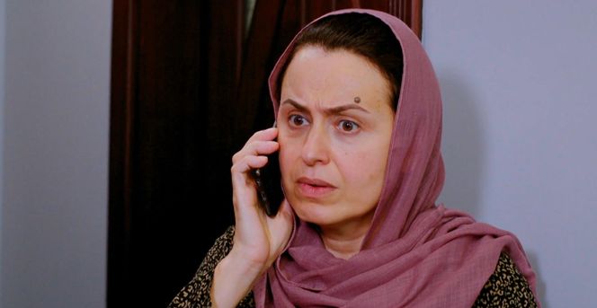 Miłość i nadzieja odc. 257. Cavidan