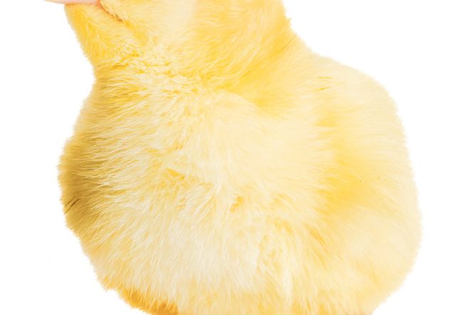 Super Fokus: Dawna magia Wielkanocy