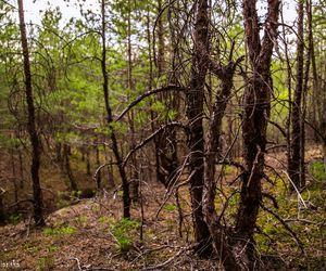 Czarniecka Góra - klimatyczna wieś w Świętokrzyskiem