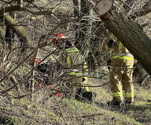 Dramatyczne chwile na Białołęce. Młody mężczyzna przewrócił się i wpadł do Wisły