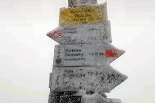 Pierwszy śnieg spadł w Beskidach na Babiej Górze i w Korbielowie