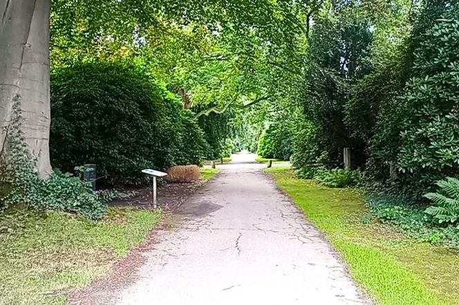 Ohlsdorfer Friedhof w Hamburgu