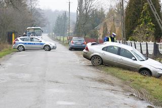 Pijany kierowca ściął słup elektryczny - prąd zabił 27 krów! [ZDJĘCIA]