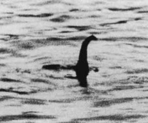 Potwór z Loch Ness na zdjęciu z kwietnia 2024! To pierwsze potwierdzone ujęcie potwora?