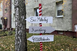 Domek Grincha w Szczecinie