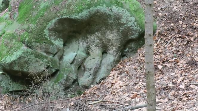 Te skały w lesie pod Wolą Komborską skrywają tajemnice. Są naprawdę nietypowe 