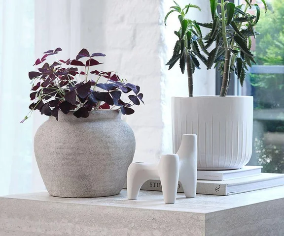 Twoje rośliny ci za nie podziękują. Ceramiczne donice do salonu - jak je wybrać?