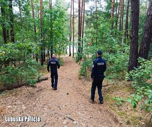 Lubuskie: Sezon na leśne wyprawy i coraz więcej zgłoszeń o zagubionych grzybiarzach