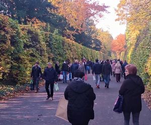 1 listopada na Cmentarzu Centralnym w Szczecinie