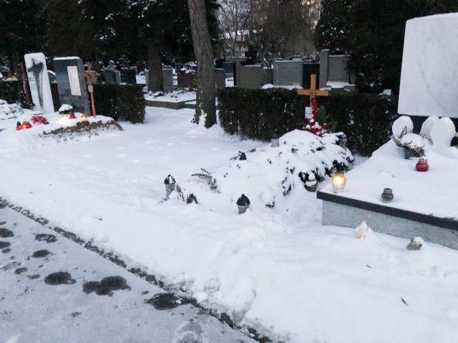 Grób Pawła Królikowskiego