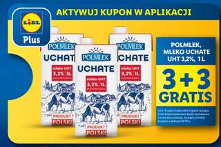 Promocje w Lidlu