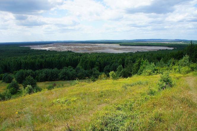 Największa pustynia w Polsce leży w Małopolsce. Odwiedza ją tysiące turystów [GALERIA]