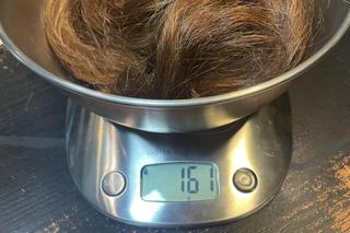 Filtry z psiej sierści