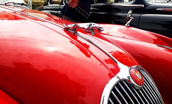 XX Podkarpacki Rajd Pojazdów Zabytkowych - konkurs elegancji na Rynku w Rzeszowie