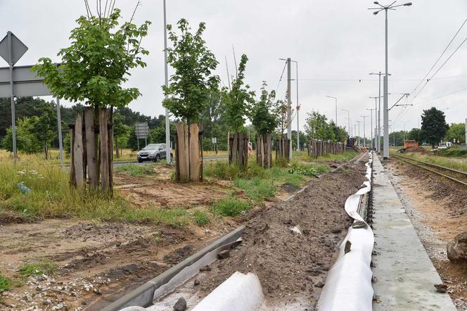 W Toruniu trwa modernizacja torowisk. Zaglądamy na plac budowy