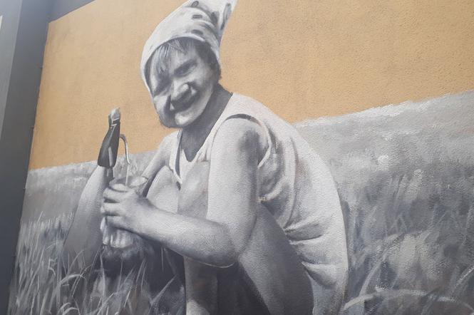 Nowy mural Andrejkowa w Rzeszowie