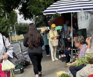 Europosłanka Wcisło buszuje na bazarku.