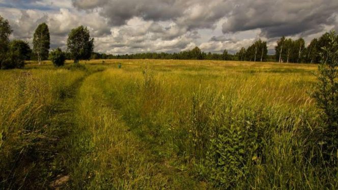 Pogorzelce na Podlasiu