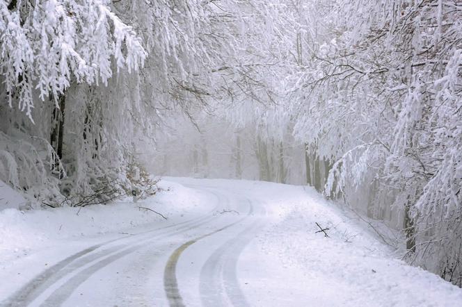 Pogoda na weekend, 11-12 grudnia. Mgły, śnieg i mróz! Może spaść nawet 15 cm śniegu.  Prognoza IMGW 