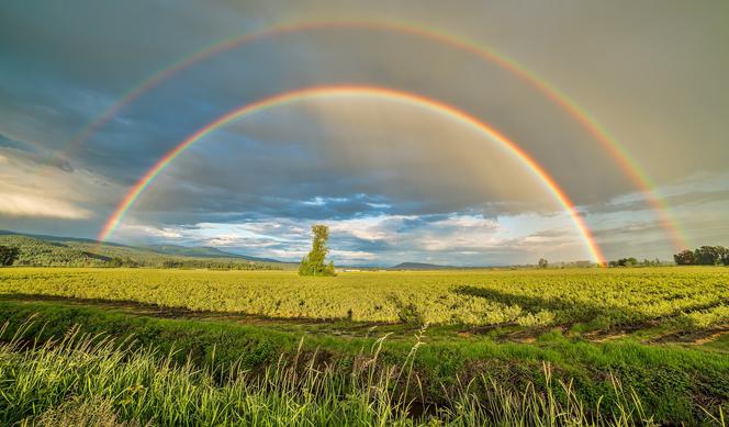 Prognoza pogody na weekend: Nadchodzi upał? Burze i ulewy dadzą się we znaki! 