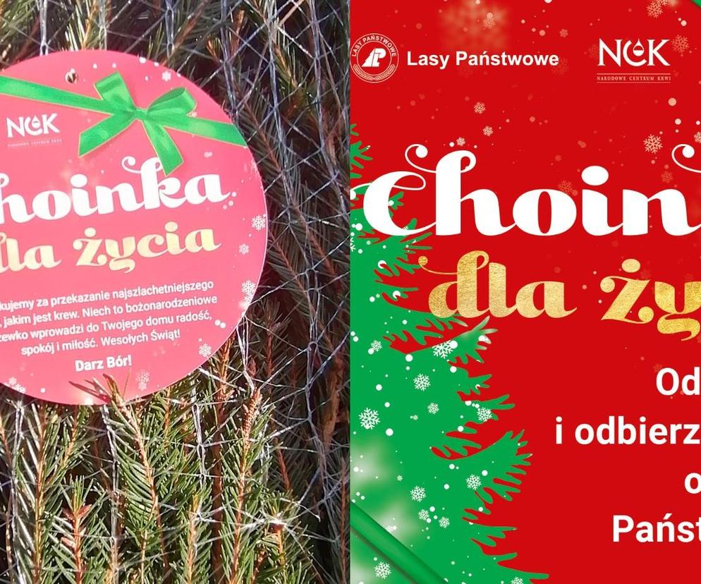 Oddaj krew i otrzymaj świąteczne drzewko – akcja „Choinka za krew” już 15 grudnia!