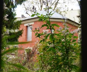 To tutaj była kiedyś szubienica. W centrum Lublina stoi Domek Kata. Zdjęcia