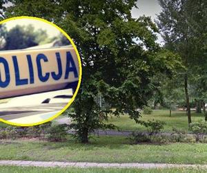 Grupa mężczyzn obserwowała dzieci w parku?! Niepokojący komunikat w Pleszewie